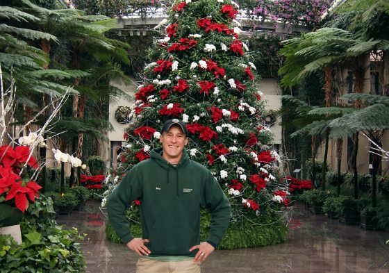 person standing in front of a red and white decorated Christmas tree